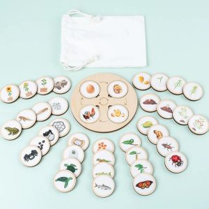 جورچین آموزشی چرخه زندگی